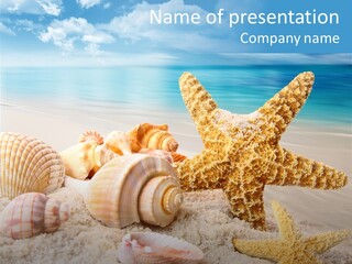 Starfish Paradise Seashell PowerPoint Template