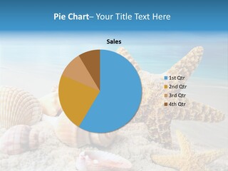 Starfish Paradise Seashell PowerPoint Template