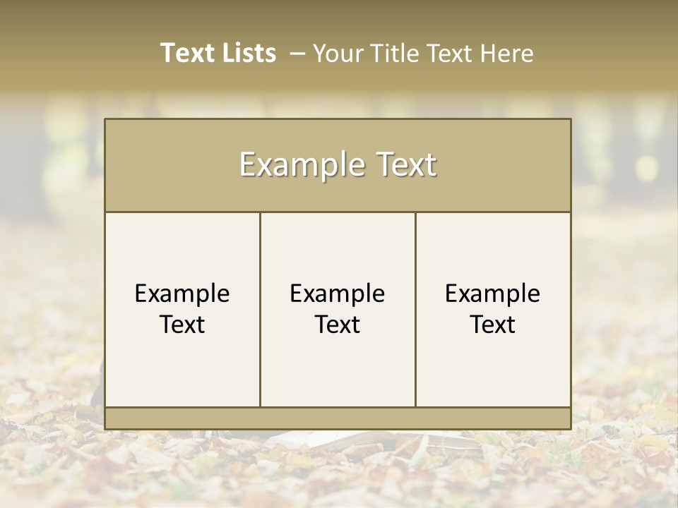 Beauty Portrait Person PowerPoint Template