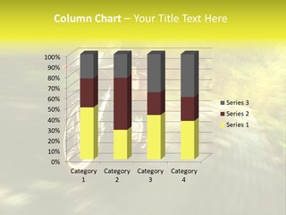Sun Road Security PowerPoint Template