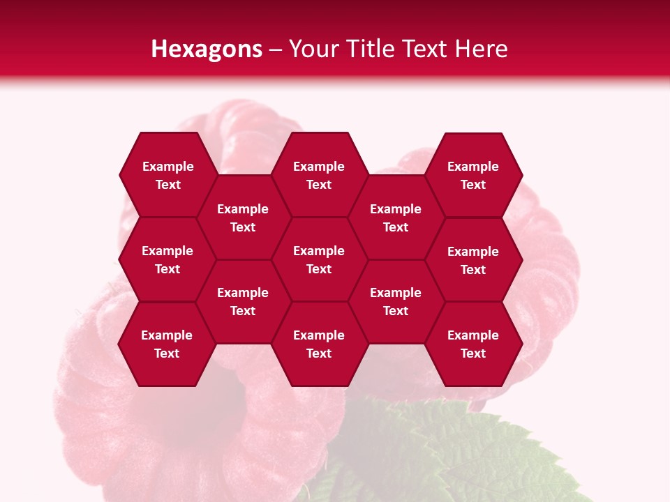 Raw Healthy Raspberry PowerPoint Template