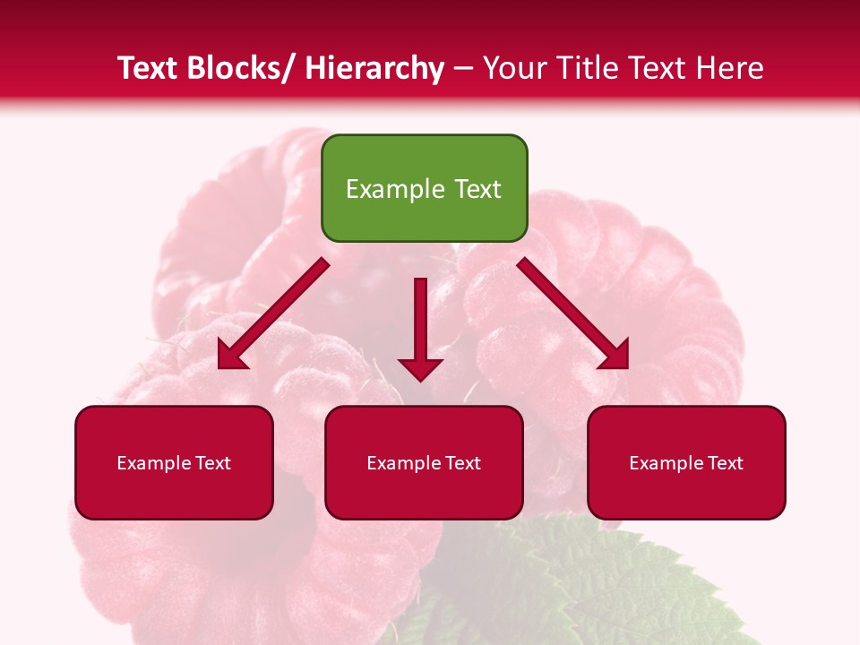 Raw Healthy Raspberry PowerPoint Template