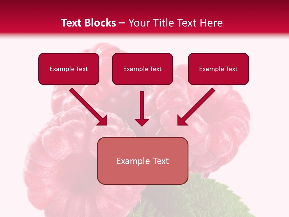 Raw Healthy Raspberry PowerPoint Template