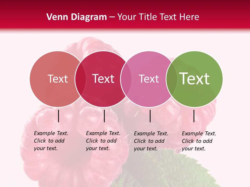 Raw Healthy Raspberry PowerPoint Template