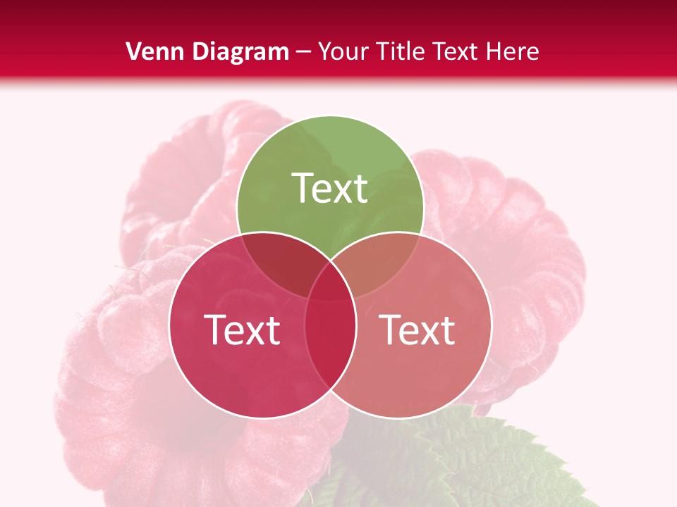 Raw Healthy Raspberry PowerPoint Template