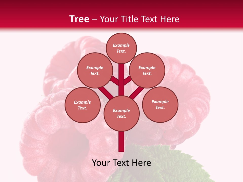 Raw Healthy Raspberry PowerPoint Template