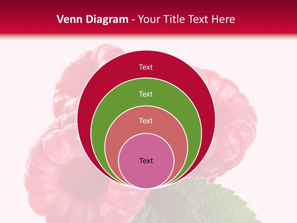 Raw Healthy Raspberry PowerPoint Template