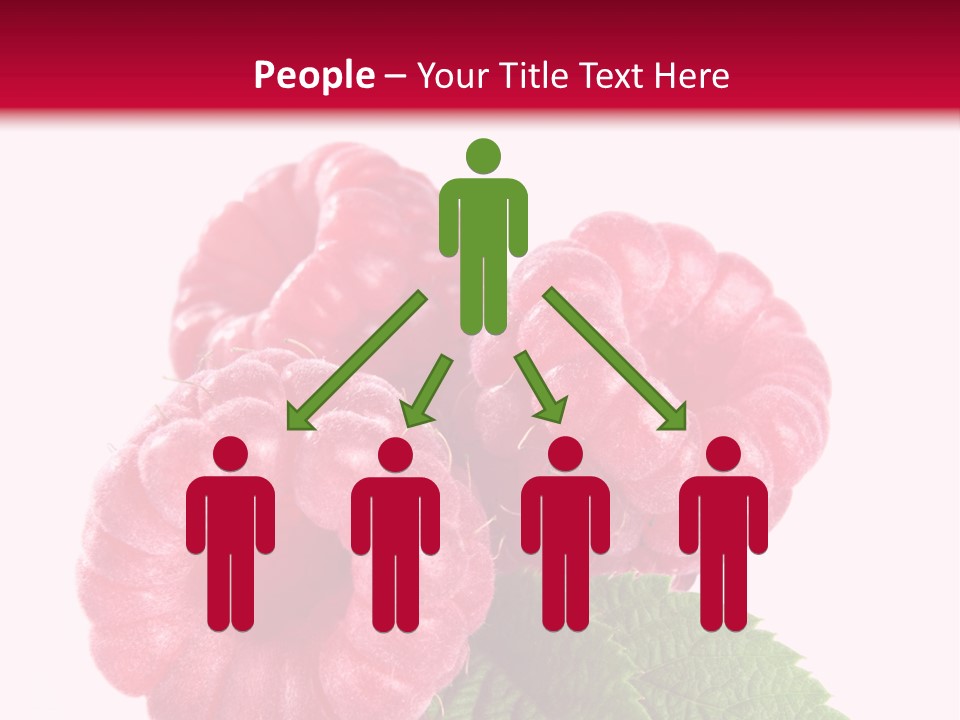 Raw Healthy Raspberry PowerPoint Template