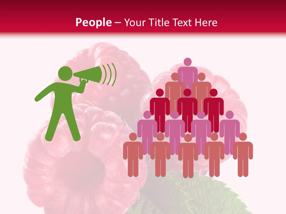 Raw Healthy Raspberry PowerPoint Template