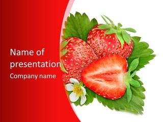 Macro Fresh Raw PowerPoint Template