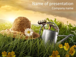 Colorful Summertime Plant PowerPoint Template