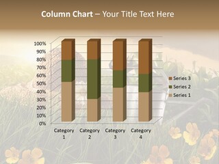 Colorful Summertime Plant PowerPoint Template