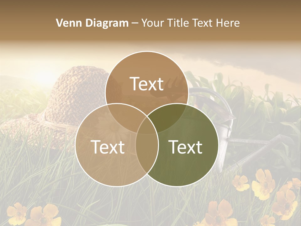 Colorful Summertime Plant PowerPoint Template