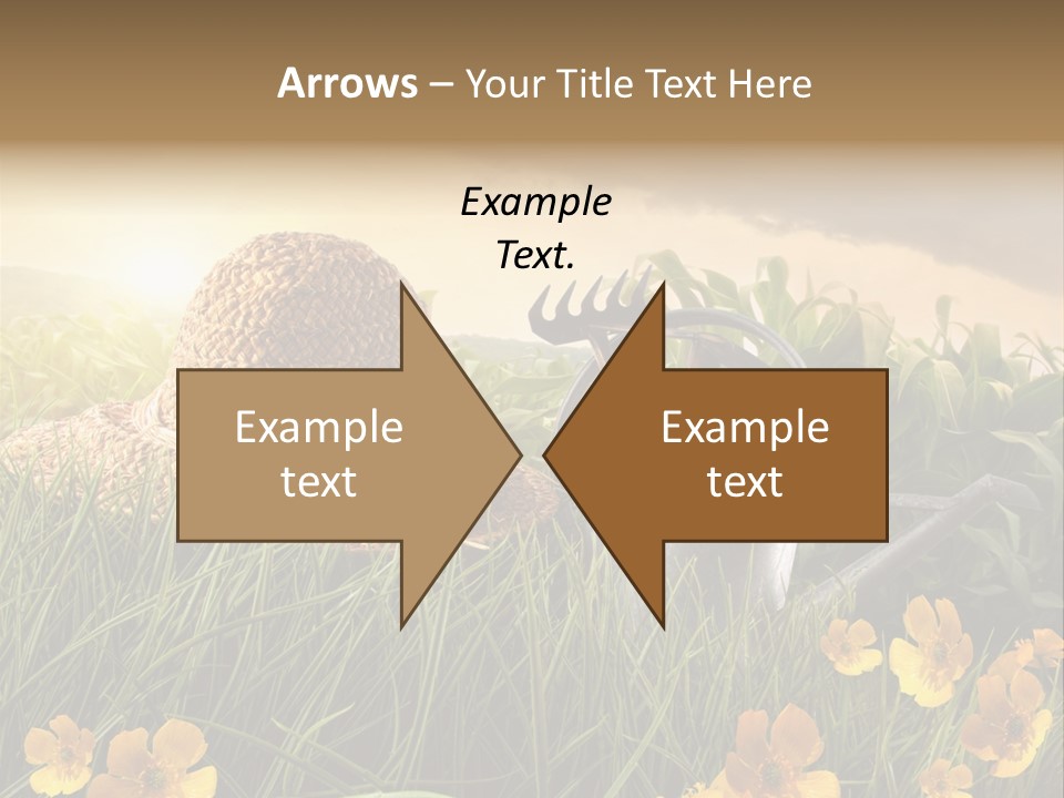 Colorful Summertime Plant PowerPoint Template