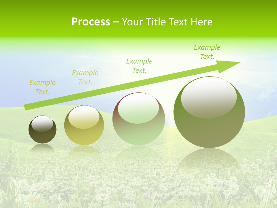 Season Flower Lawn PowerPoint Template