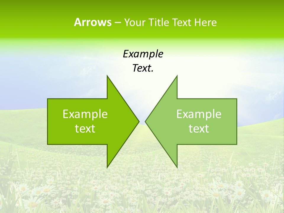 Season Flower Lawn PowerPoint Template