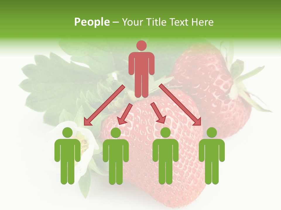 Healthy Natural Berry PowerPoint Template
