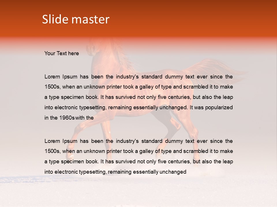 Arab Equestrian Horse PowerPoint Template