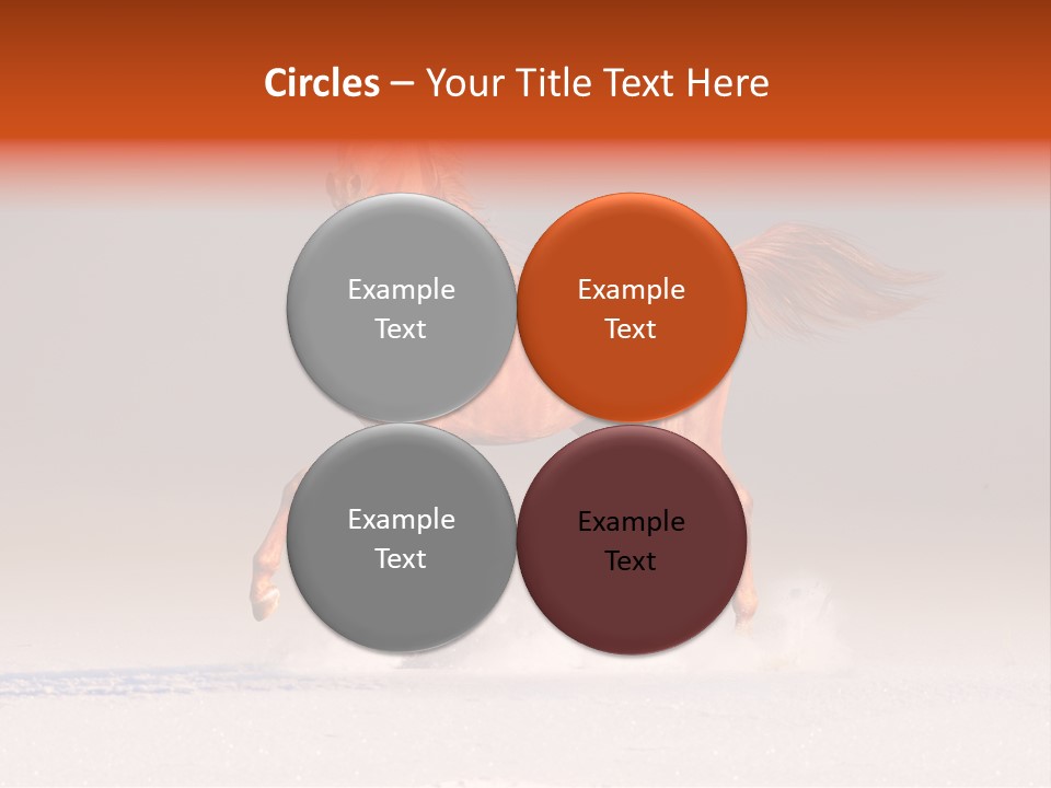 Arab Equestrian Horse PowerPoint Template