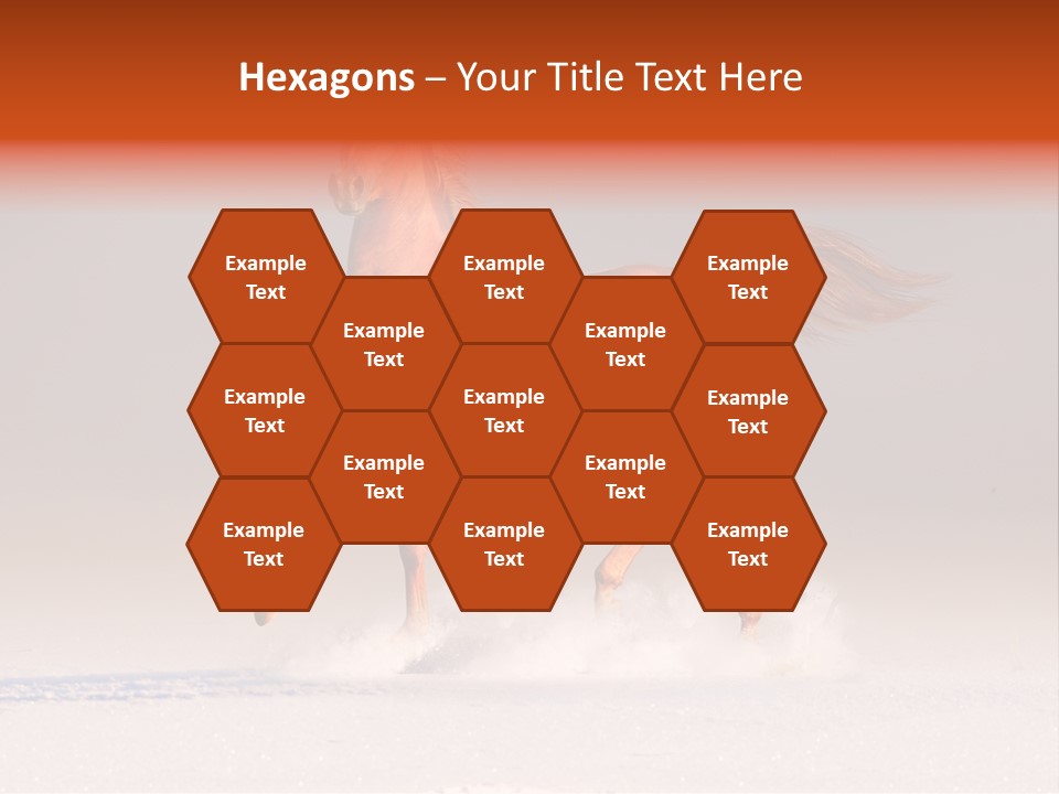 Arab Equestrian Horse PowerPoint Template