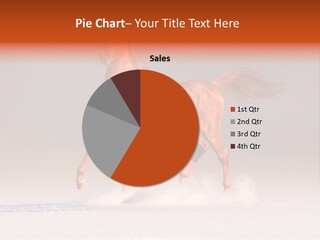 Arab Equestrian Horse PowerPoint Template