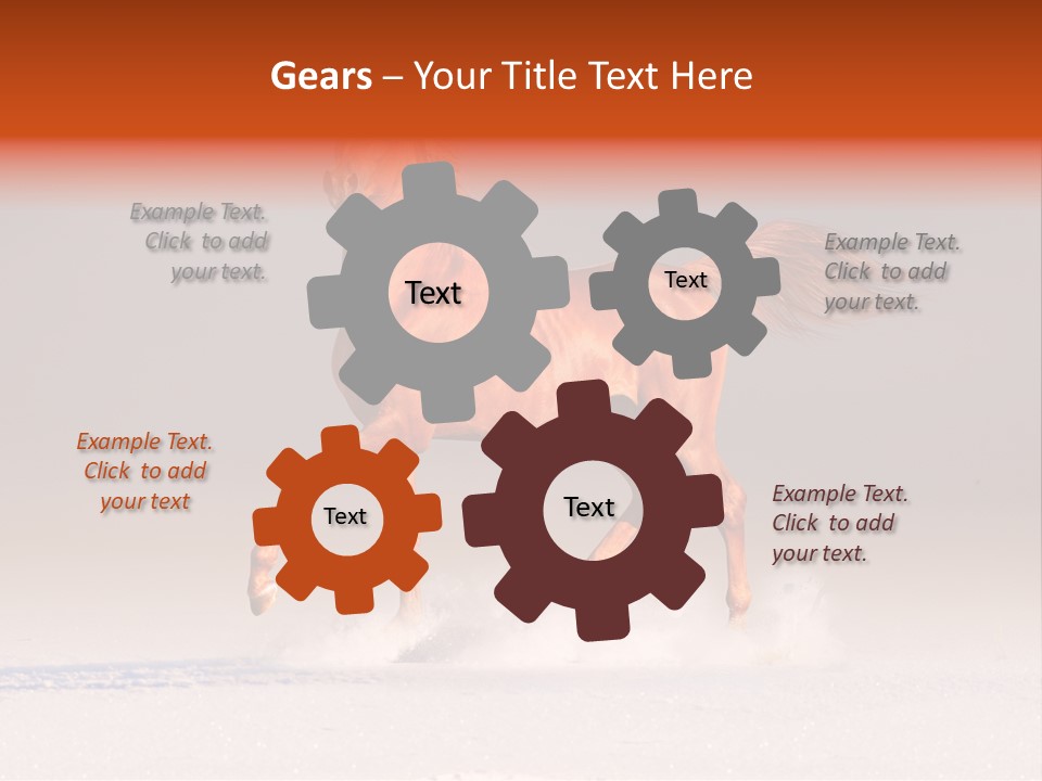 Arab Equestrian Horse PowerPoint Template