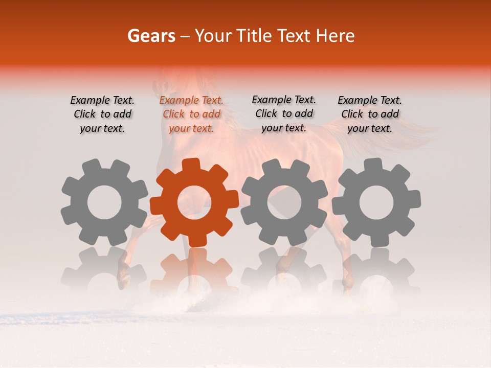 Arab Equestrian Horse PowerPoint Template