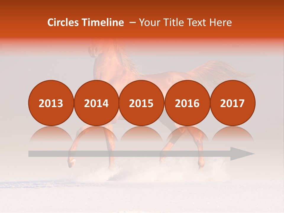 Arab Equestrian Horse PowerPoint Template