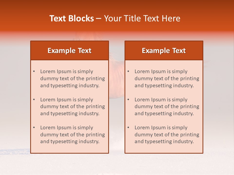 Arab Equestrian Horse PowerPoint Template