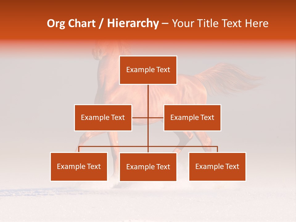 Arab Equestrian Horse PowerPoint Template