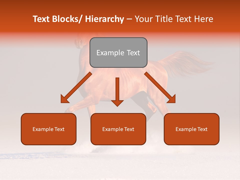 Arab Equestrian Horse PowerPoint Template
