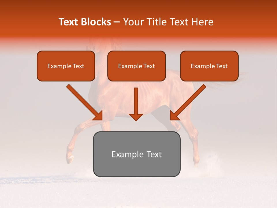 Arab Equestrian Horse PowerPoint Template