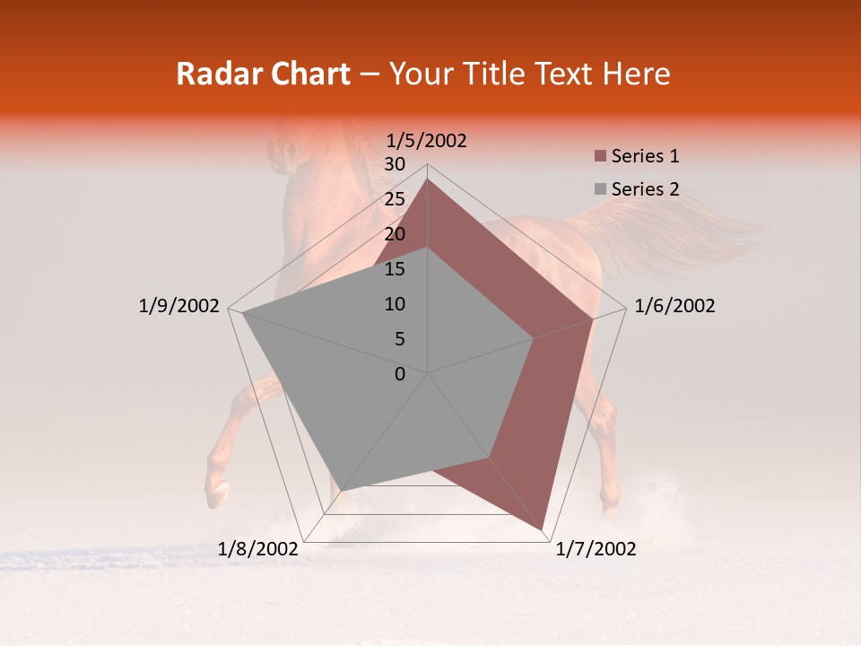 Arab Equestrian Horse PowerPoint Template