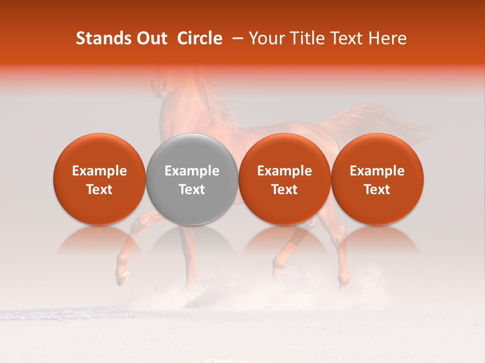 Arab Equestrian Horse PowerPoint Template