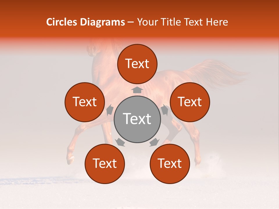 Arab Equestrian Horse PowerPoint Template