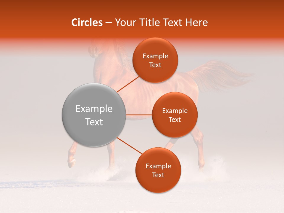 Arab Equestrian Horse PowerPoint Template