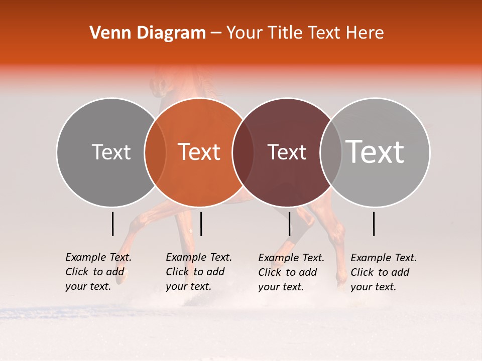 Arab Equestrian Horse PowerPoint Template