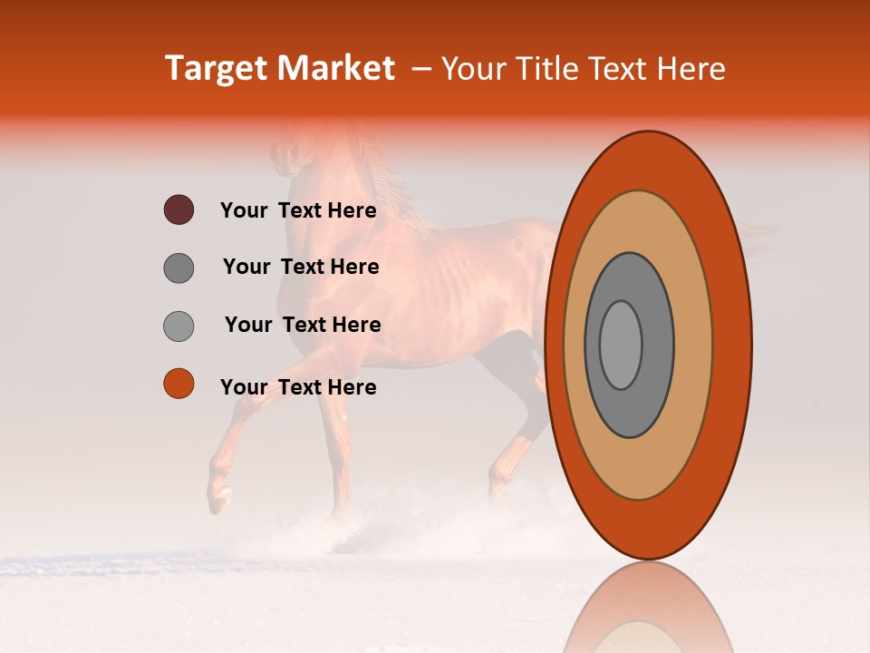 Arab Equestrian Horse PowerPoint Template