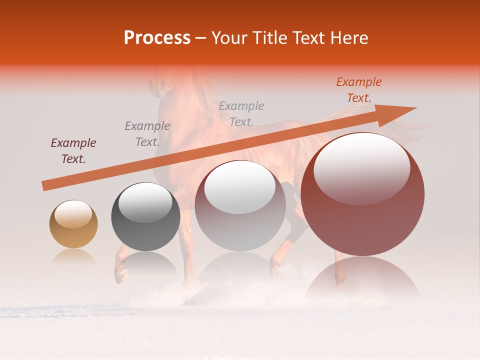 Arab Equestrian Horse PowerPoint Template