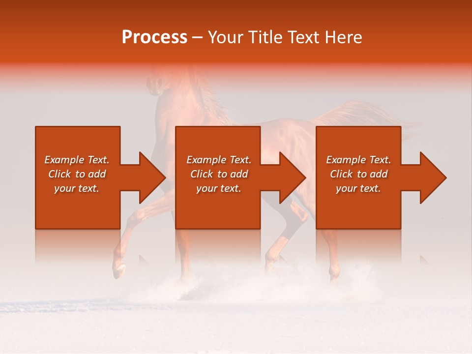 Arab Equestrian Horse PowerPoint Template