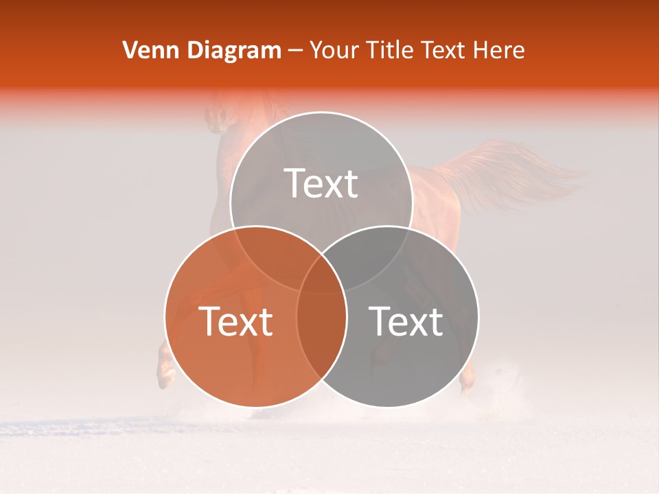 Arab Equestrian Horse PowerPoint Template