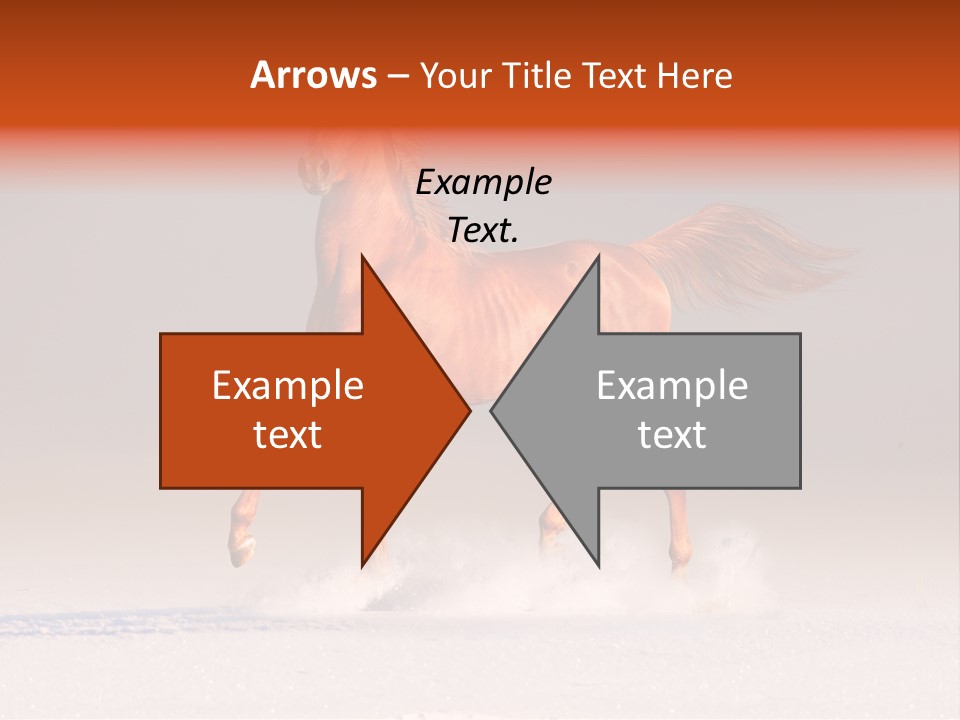 Arab Equestrian Horse PowerPoint Template