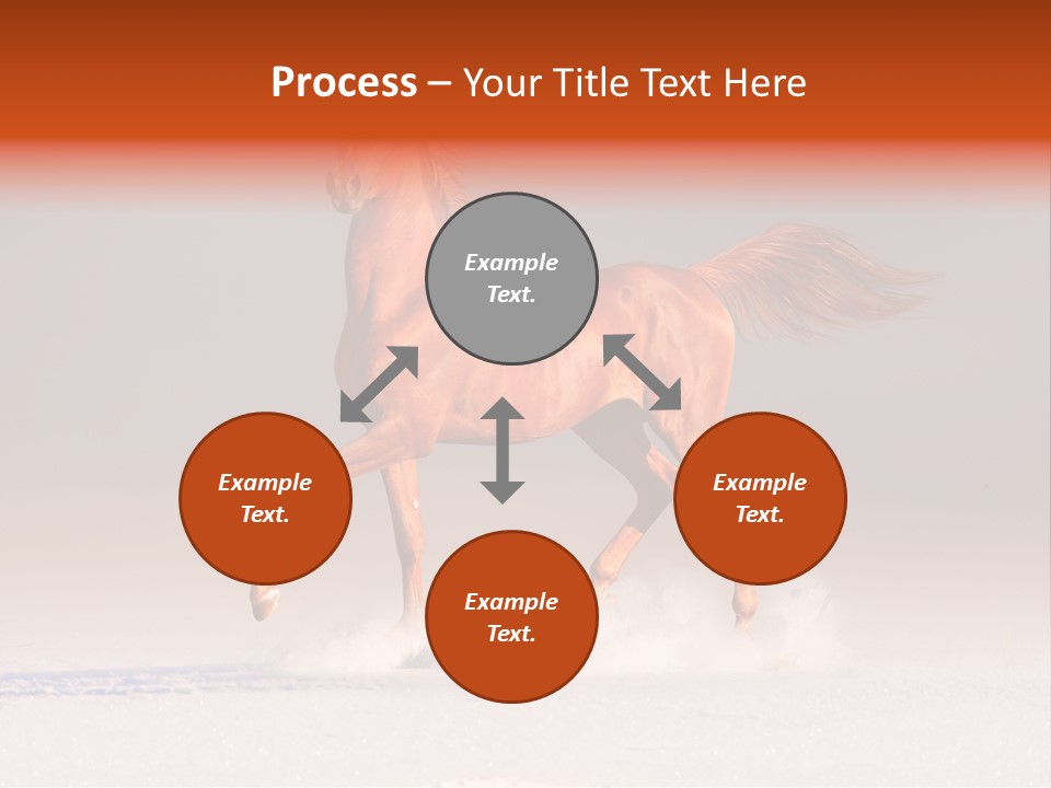 Arab Equestrian Horse PowerPoint Template
