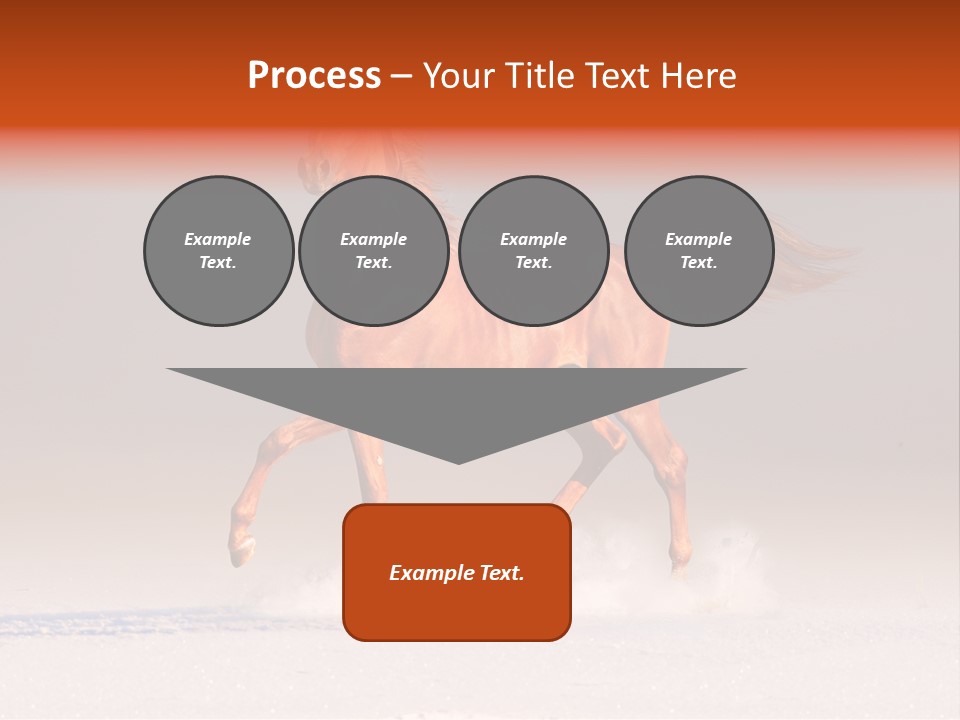 Arab Equestrian Horse PowerPoint Template