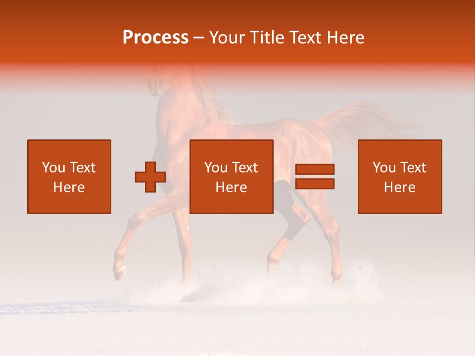 Arab Equestrian Horse PowerPoint Template