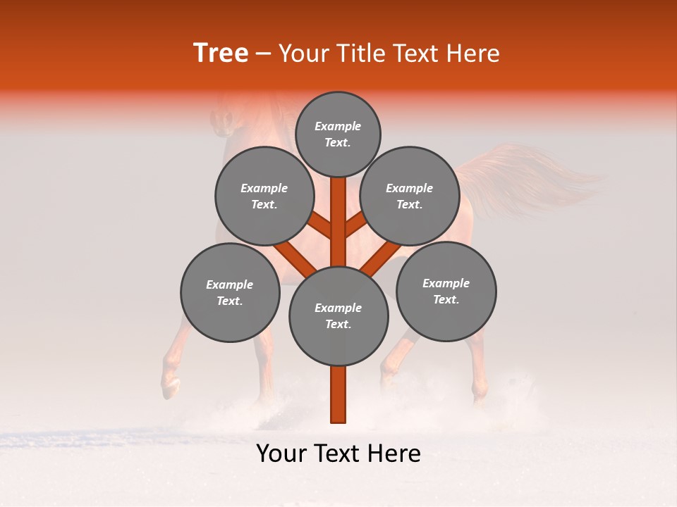 Arab Equestrian Horse PowerPoint Template