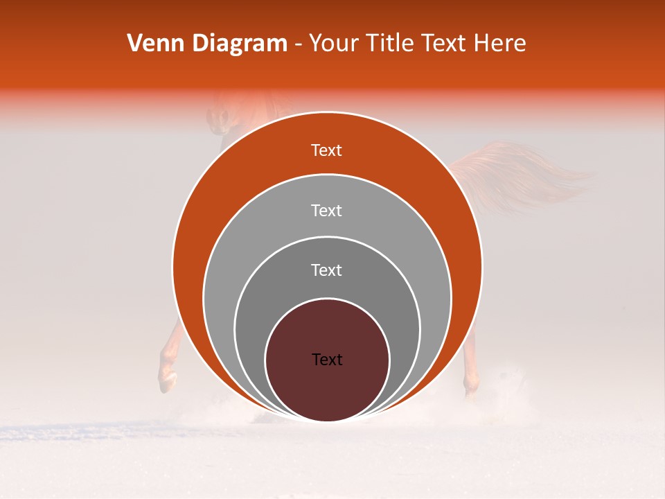 Arab Equestrian Horse PowerPoint Template