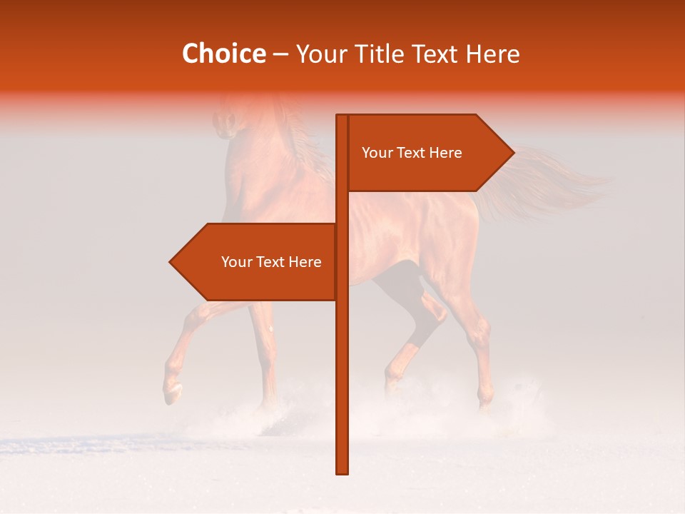 Arab Equestrian Horse PowerPoint Template