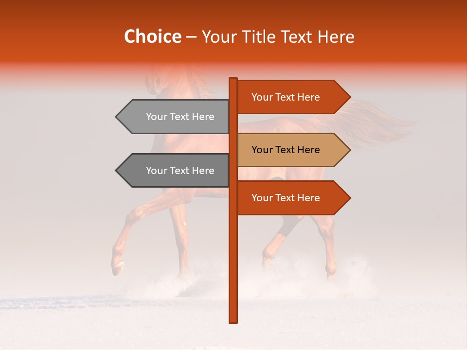 Arab Equestrian Horse PowerPoint Template