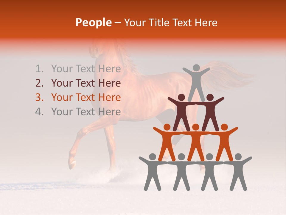 Arab Equestrian Horse PowerPoint Template